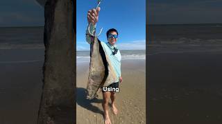 Using MASSIVE Bait At The Beach And This HAPPENEDPart 1 [upl. by Antin]