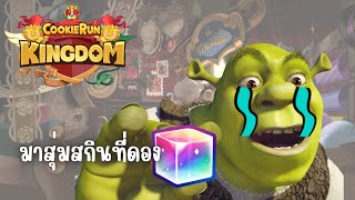 อัพเดทใหม่ กับสกินใหม่ บอกเลยว่า   Cookie Run Kingdom [upl. by Nada]