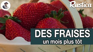 Des fraises en avril [upl. by Nnyre339]