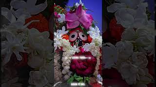 Hayare Moro kala manika odia new jagannath statas video youtubeshortsvideo bibhuyt dkl [upl. by Anul111]