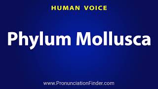 How To Pronounce Phylum Mollusca [upl. by Animsaj]