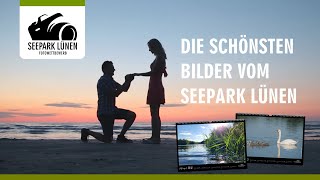 Fotowettbewerb Seepark Lünen  Die schönste Bilder werden gesucht [upl. by Retluoc47]