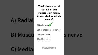 The Extensor carpi radialis brevis muscle is primarily innervated by which nerve Physiology [upl. by Leor118]