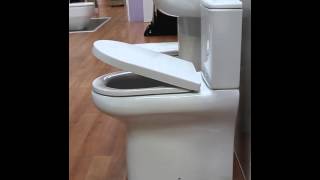 rak soft close toilet seat [upl. by Ennybor]