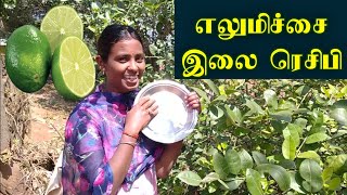 LEMON LEAF RECIPE IN TAMIL 🌿 [upl. by Houlberg]