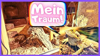 DAS PERFEKTE TERRARIUM Für DEINE Echse  Boss der Bartagamen [upl. by Akemhs631]