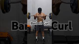 BARBELL CURL barbellcurl bicep barbell gym [upl. by Ardie]