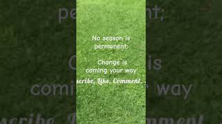 Seasons change youtubeshorts motivation life newchanges [upl. by Amuwkuhc897]