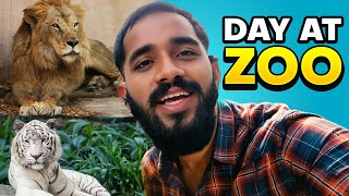 Delhi Zoo  National Zoological Park  LongShen Vlog [upl. by Ellinej]