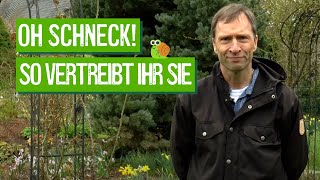 Pflanzen erfolgreich vor Schnecken schützen  Der Grüne Tipp kompakt [upl. by Nollad]