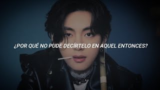 quotStigmaquot  V BTS Sub español [upl. by Deeraf725]