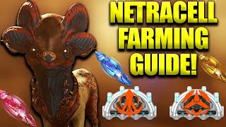 Warframe Netracells Guide Farm Legendary Melee Arcanes Tauforged Archon Shards And More [upl. by Arodoeht]