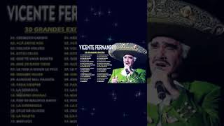 VICENTE FERNANDEZ GRANDES EXITOS  VICENTE FERNANDEZ SUS MEJORES EXITOS [upl. by Ysset]