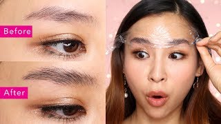 DIY Brow Lamination  The Newest Brow Trend  TINA TRIES IT [upl. by Hainahpez]