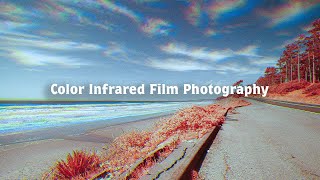 Color Infrared Film Photography Trichrome Method Update  Using Several New Filters [upl. by Benni410]