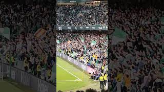 Impresionante afición bética apoyando al Betis en el partido contra el Atlético de Madrid 271024 [upl. by Aguste]