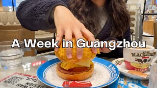 7 Days in Guangzhou  What to eat Where to shop  First Time in China  Travel Vlog [upl. by Yntruoc248]