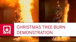 Christmas Tree Burn Demonstration [upl. by February362]