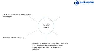 Interleukin 2 Creative Peptides [upl. by Nylrahc]