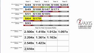 Insurance Reserves Tutorial [upl. by Ahsertal]