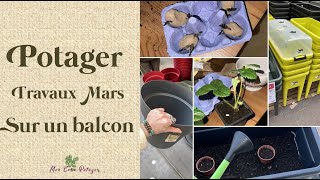 3ème épisode  Potager sur balcon en Mars [upl. by Tierza]