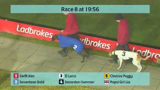 Crayford Greyhounds Races on 30th January 2024 [upl. by Nawuq]