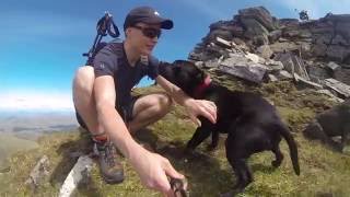 Three Staffies Climb A Scottish Mountainfeat The Red Arrows [upl. by Mcgee]