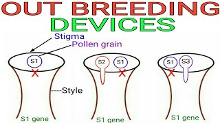 Out breeding devices Hindi  Reproduction in Lower and Higher plants [upl. by Westley]