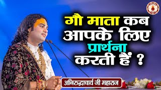 गौ माता कब आपके लिए प्रार्थना करती है  Aniruddhacharya Ji Maharaj  Sanatan Vachan  Pravachan [upl. by Engamrahc]