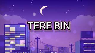 TERE BIN SONGNEW TRENDING LOFI SONGNIGHT LOFI [upl. by Anovad]