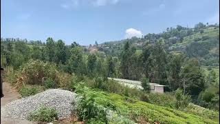 PLOTS FOR SALE  COONOOR  plotforsale realestate coonoor [upl. by Enahpad]