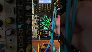 20000 leagues under the sea🦑 modulartechno modularsynth modularmusic [upl. by Sylvia]