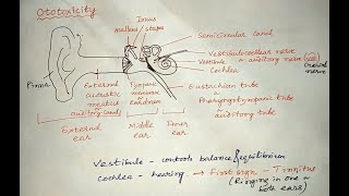 Ototoxicity toxicity toxicology drugs pharmacology [upl. by Ailahs711]