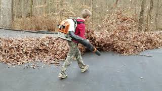 Blowing leaves with Stihl br800 amp echo pb8010 [upl. by Adirem]