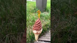 Bandar Mama Cone Icecream🥳 mini wood toy wood working art skill short cartoon viraltrending [upl. by Ariajay]