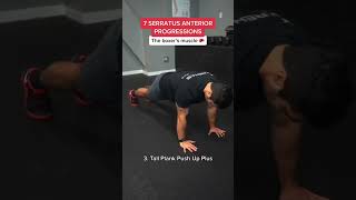 How to Strengthen Your Serratus Anterior Muscle shorts [upl. by Loralyn]