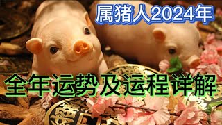 属猪人2024年全年运势及运程详解 [upl. by Groark]