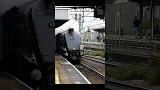 A4 60007 quotSir Nigel Gresleyquot  Nuneaton 81024 steam preserved locomotive [upl. by Clymer409]