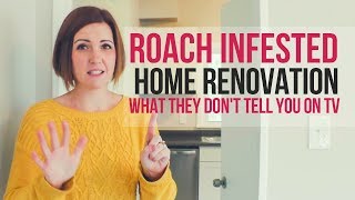 My Cockroach Infestation Home Renovation 6 Treatments Later [upl. by Sedecrem]