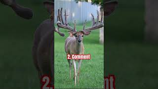 What’s the best rack music deer rut big deerhunting [upl. by Eceinej69]