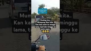 Di goyangin aja dulu 😂 musica reggae song [upl. by Sarat328]