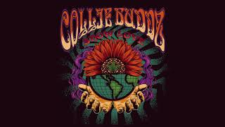 Collie Buddz  Show Love [upl. by Joses]