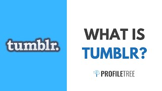 What Is Tumblr Why should I use It [upl. by Anauqcaj]