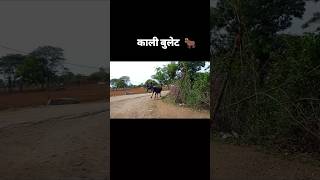 Comedy video lakadi ki kati songshotsviralvideo trending shorts ‎Trendcomedian comedy shorts [upl. by Upshaw]