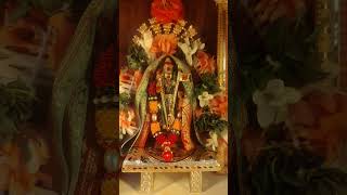 Thirukalyam alangaram muruga kandha sashti [upl. by Drandell200]