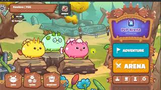 Axie Infinity Basic Battle Guide [upl. by Isola]