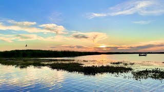 Best Bass Fishing Destinations Headwaters Lake in Florida [upl. by Ohl811]