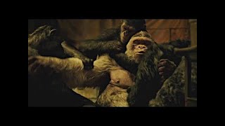 Caesar Kills Winter  Death Scene  War for the Planet of the Apes 2017LOWI [upl. by Esinahs]