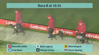 Crayford Greyhounds Races on 9th November 2024 [upl. by Einaled759]