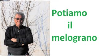 Potiamo il melograno [upl. by Sibyls]